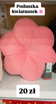 Poduszka kwiatuszek Dealz promocja w Dealz