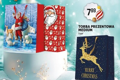 Torba prezentowa Medium promocja w Arhelan