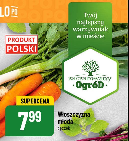 W艂oszczyzna p臋czek Zaczarowany ogr贸d promocja