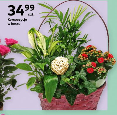 Dekoracyjna kompozycja kwiatowa promocja