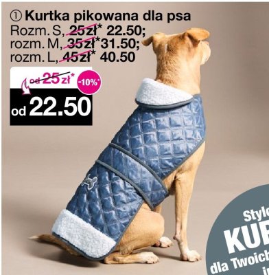 Kurtka pikowana dla psa rozmiar M promocja w Woolworth