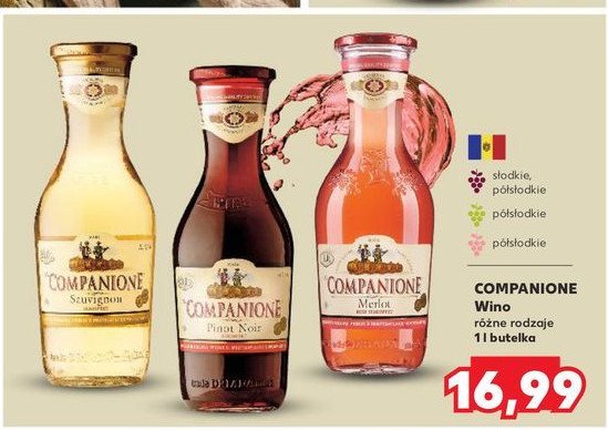 Wino COMPANIONE SWEET promocja