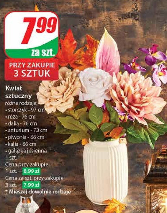 Gałązka jesienna promocja