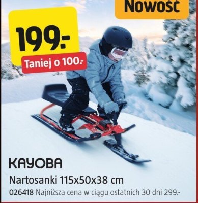 Nartosanki KAYOBA 115x50x38 cm promocja w Jula