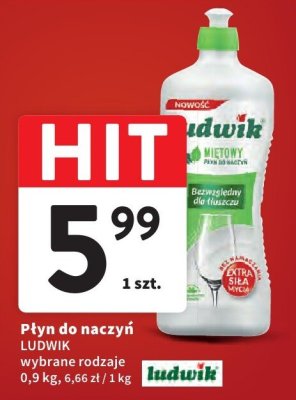 Płyn do naczyń LUDWIK wybrane rodzaje 0,9 kg promocja w Intermarche