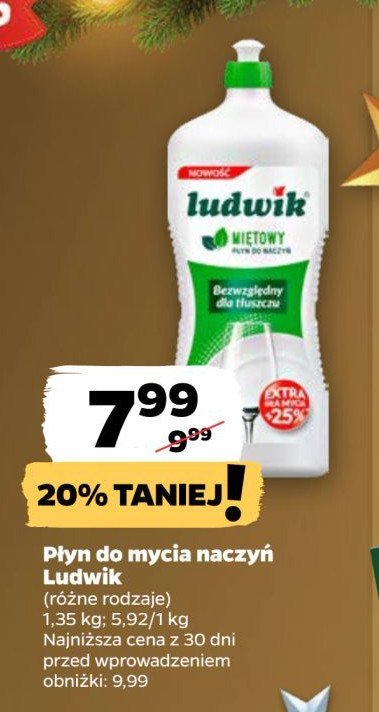 Płyn do mycia naczyń miętowy Ludwik promocja