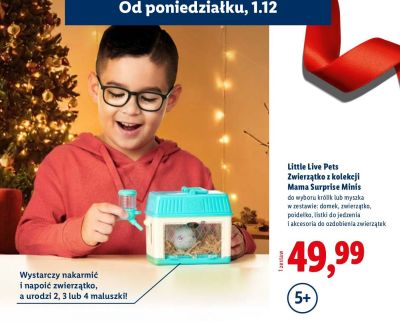 Little Live Pets Zwierzątko z kolekcji Mama Surprise Minis promocja w Lidl