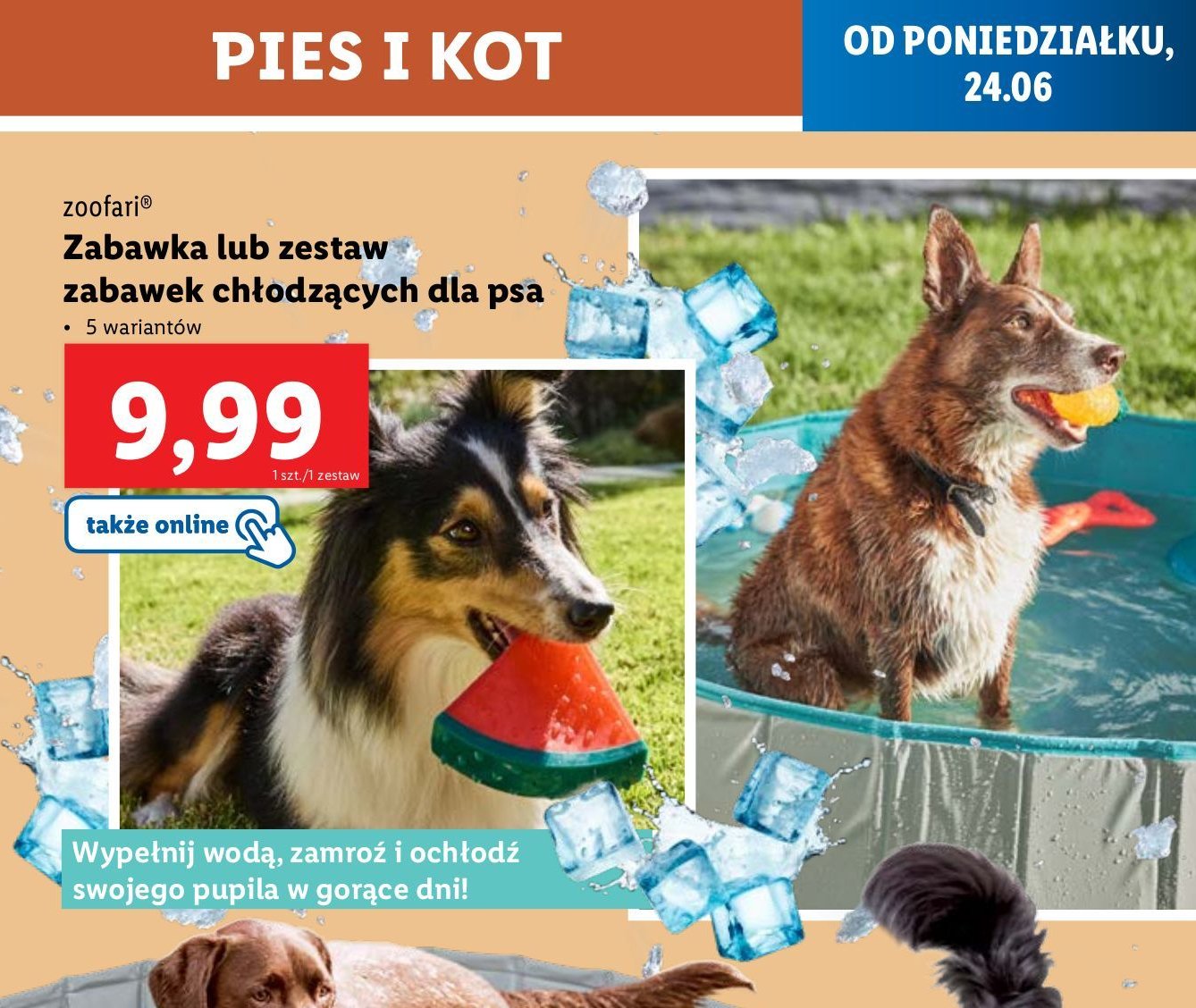 Zabawka chłodząca Zoofari promocja