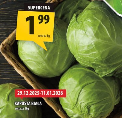 Kapusta biała promocja w Arhelan