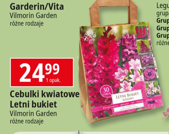 Cebulki letni bukiet Vilmorin garden promocja