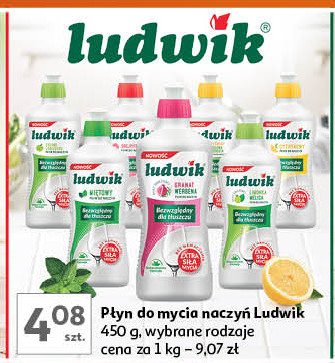 Płyn do naczyń grapefruitowy Ludwik promocja