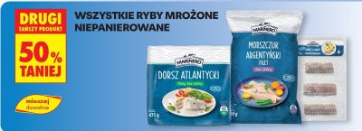 Morszczuk Argentyński Filet promocja w Biedronka