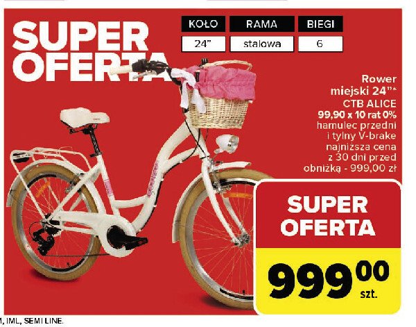 Rower 24 ctb 3b shimano alice koszyk metalowy GREEN BIKE promocja w Carrefour