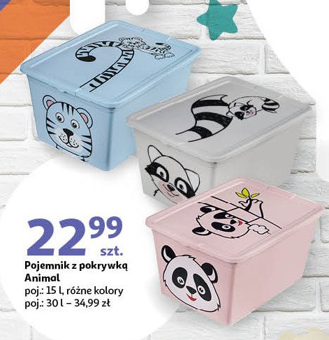 Pojemnik x-box animal 30 l promocja