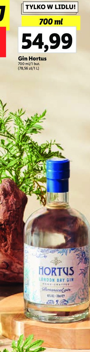 Gin Hortus london dry promocja