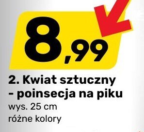 Kwiat sztuczny - poinsecja na piku promocja w Bricomarche