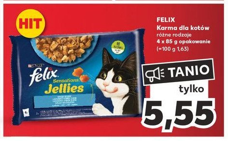 Karma dla kota rybne smaki w galaretce promocja