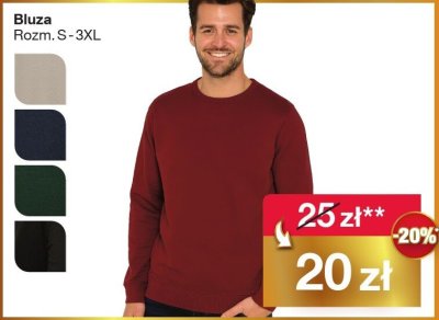 Bluza męska promocja w Woolworth