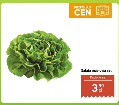 Sałata masłowa szt. promocja w Dino