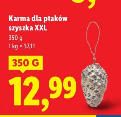 Karma dla ptaków promocja w Lidl