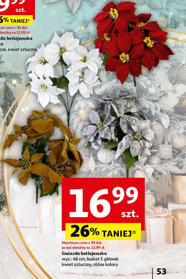 Gwiazda betlejemska 48 cm promocja