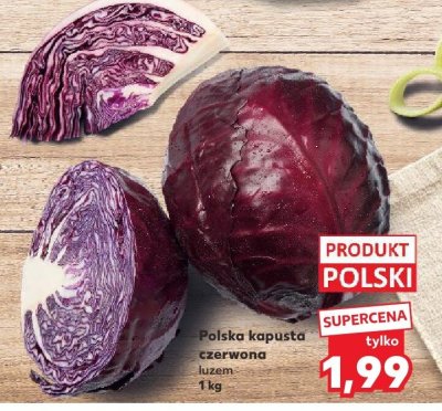 Kapusta czerwona polska promocja w Kaufland