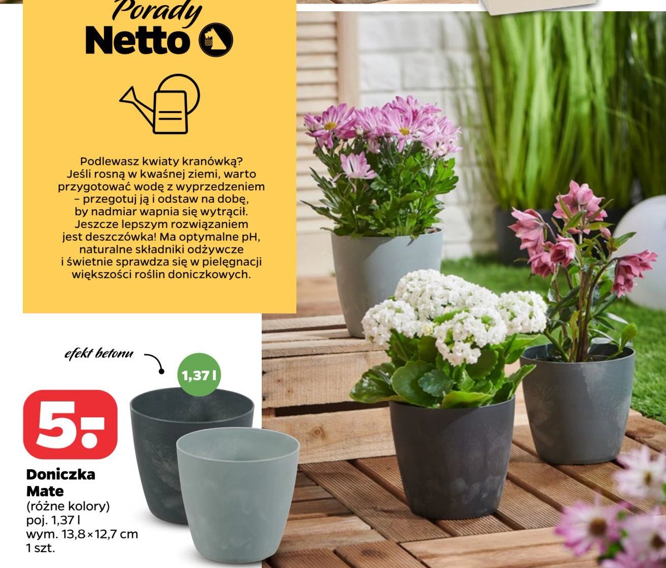 Doniczka mate 1.37 l promocja w Netto