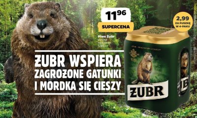 Piwo Żubr 4 x 500 ml promocja w Netto