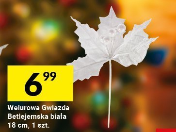 Welurowa Gwiazda Betlejemska biała 18 cm, 1 szt. promocja w Twój Market