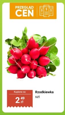 Rzodkiewka promocja w Dino