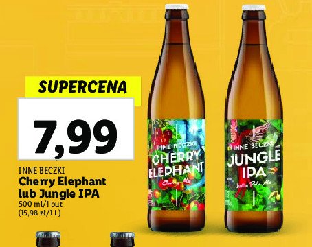 Piwo Jungle ipa promocja