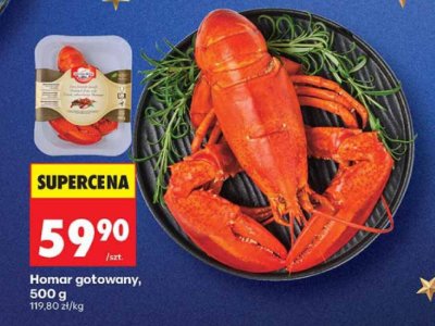 Homar gotowany promocja w Biedronka