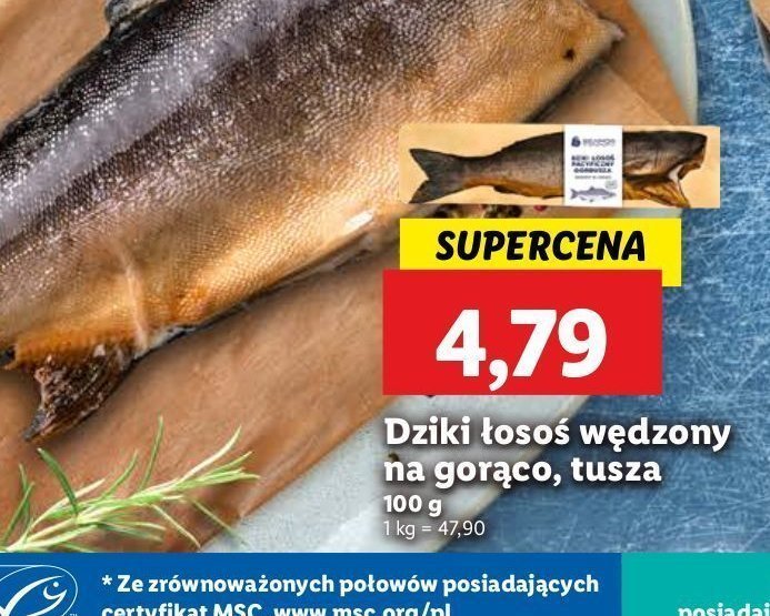 Dziki łosoś tusza promocja