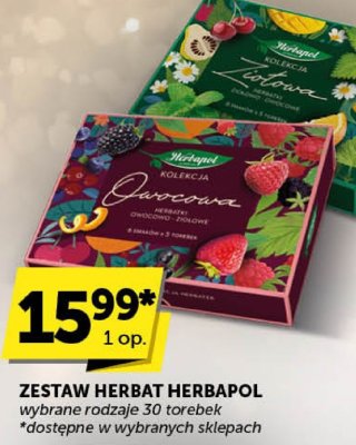 Zestaw herbat Herbapol wybrane rodzaje 30 torebek promocja w Euro Sklep