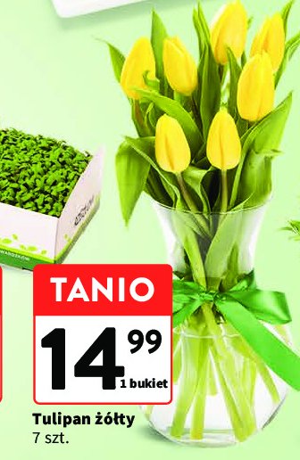 Tulipany 偶贸艂te promocja