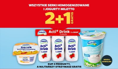 Wszystkie serki homogenizowane i jogurty 2+1 GRATIS promocja w Netto