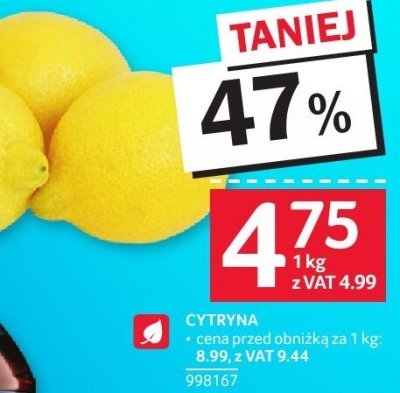 Cytryna promocja w Selgros