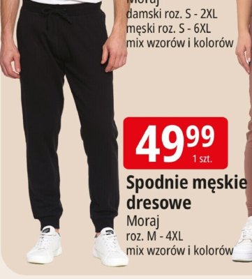 Spodnie męskie dresowe Moraj promocja w Leclerc