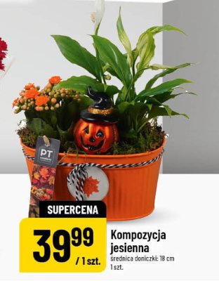 Kompozycja jesienna promocja w POLOmarket