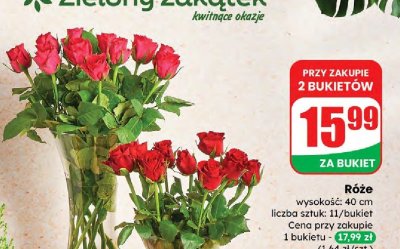 Róże - bukiet 11 szt. promocja w Dino