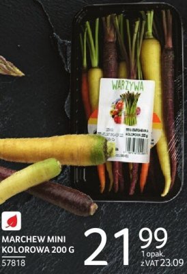 Marchew mini kolorowa 200 g promocja w Selgros