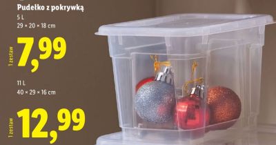 Pudełko z pokrywką 11L promocja w Lidl