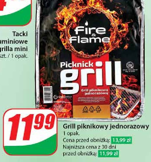 Grill jednorazowy Fire & flame promocja w Dino