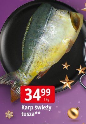 Karp świeży tusza promocja w Leclerc