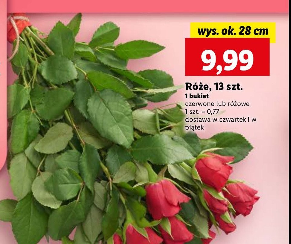 Róże różowe 28 cm promocja