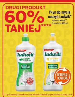 Płyn do mycia naczyń Ludwik promocja w POLOmarket