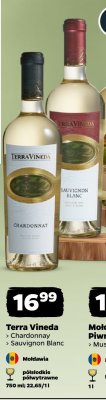 Wino Sauvignon Blanc, półwytrawne promocja w Netto