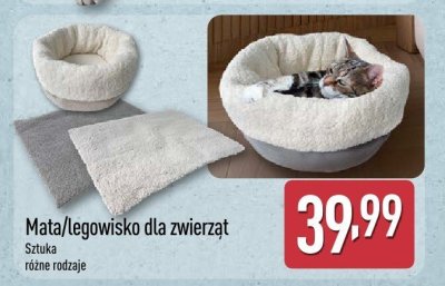 Legowisko dla zwierząt, różne rodzaje promocja w Aldi