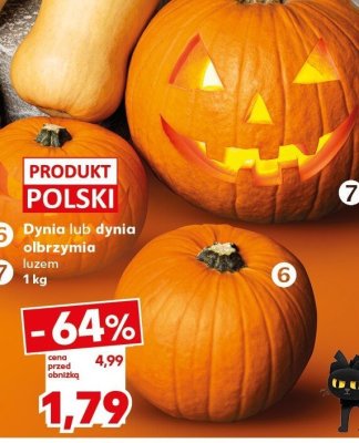 Dynia promocja w Kaufland