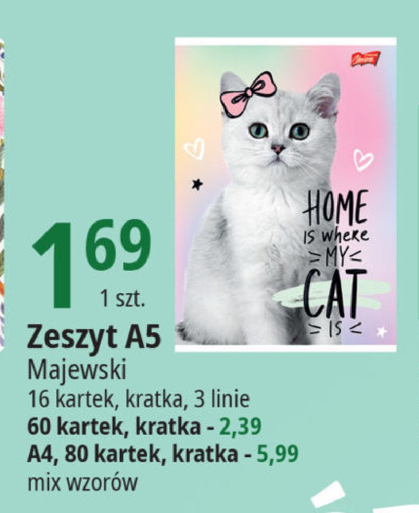 Zeszyt a5/16 k linia St. majewski promocja